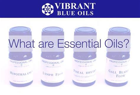 Vibrant blue oils - Vibrant Blue Oils Symptom Support Sleep™ blend contains a proprietary formulation in a base of fractionated coconut oil:. Blue Tansy (Tanacetum anuum): Blue tansy is a flowering plant related to the daisy that hails from Morocco. It derives its vivid shade of blue from its azulene content which is not only responsible for the distinctive color, but the natural …